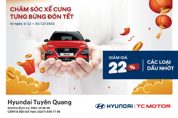 CHĂM SÓC XẾ CƯNG-TƯNG BỪNG ĐÓN TẾT