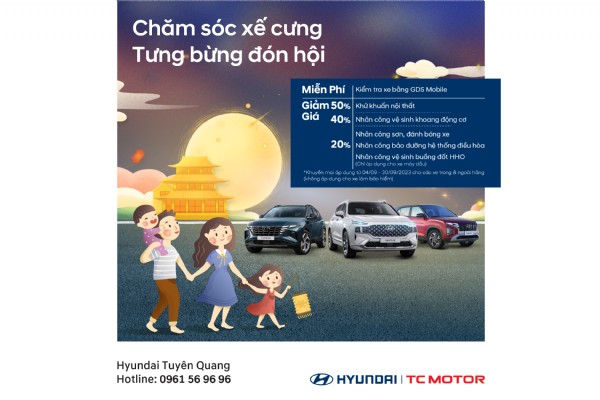 CHĂM SÓC XẾ CƯNG - TƯNG BỪNG ĐÓN HỘI